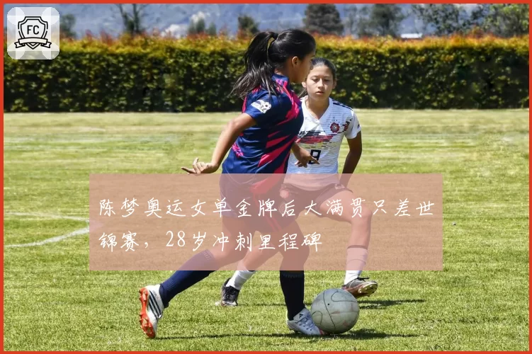 陈梦奥运女单金牌后大满贯只差世锦赛，28岁冲刺里程碑