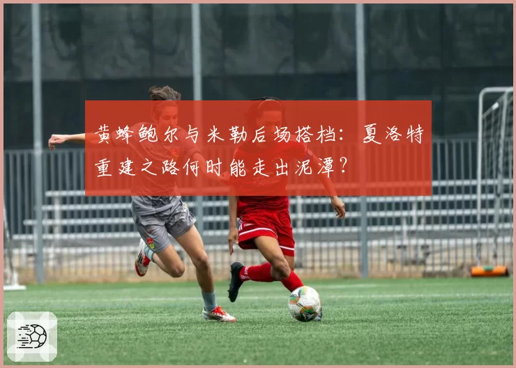 黄蜂鲍尔与米勒后场搭档：夏洛特重建之路何时能走出泥潭？