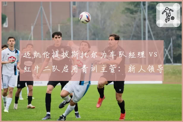 迈凯伦提拔斯托尔为车队经理 vs 红牛二队启用青训主管：新人领导力对比